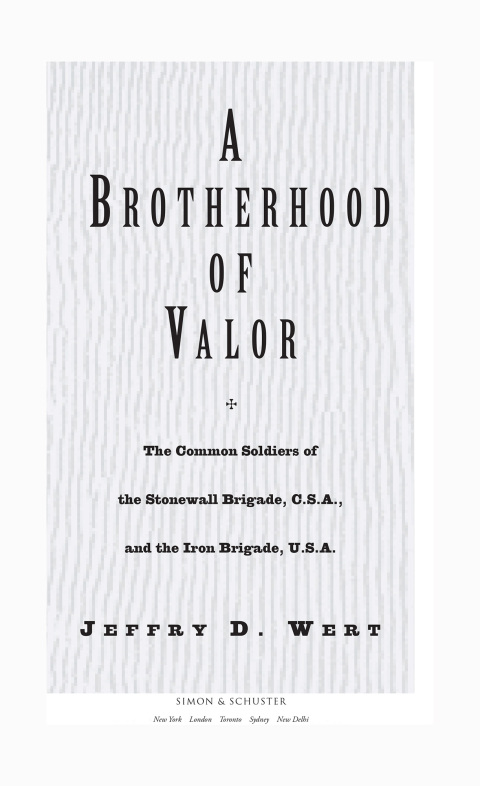 Cover image for book A Brotherhood Of Valor