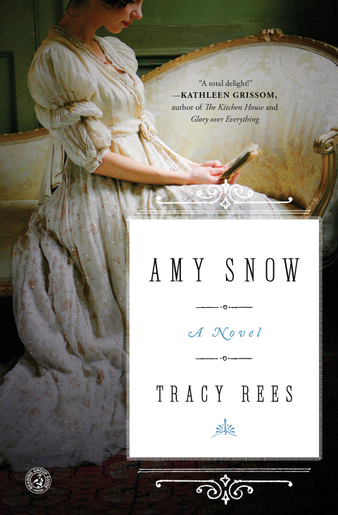 Cover image for book Amy Snow