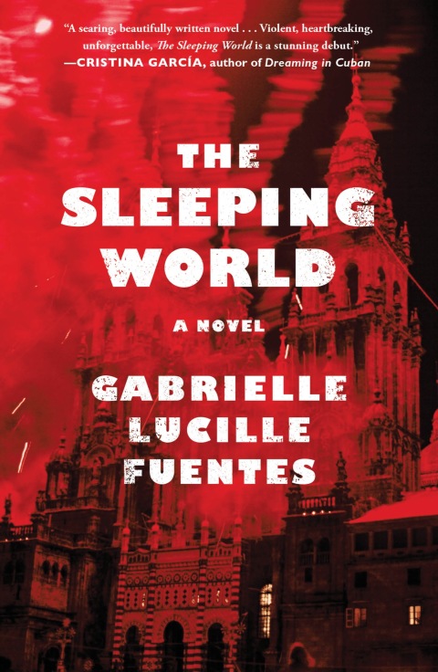 Cover image for book The Sleeping World