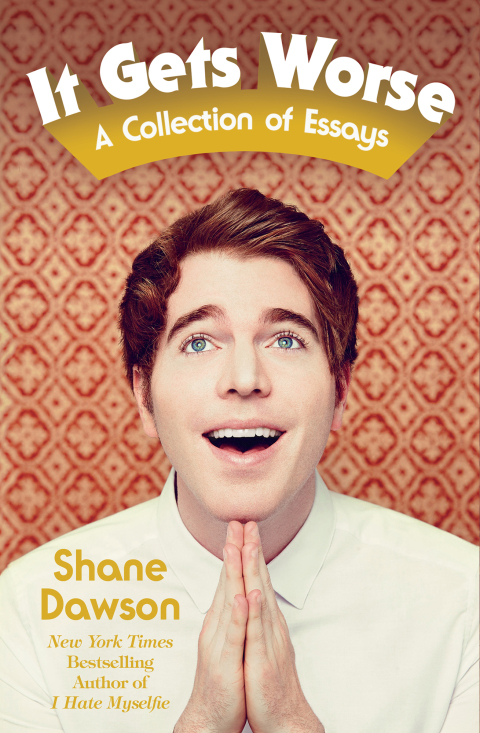 Cover image for book It Gets Worse