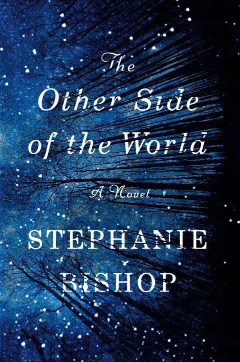 Cover image for book The Other Side of the World