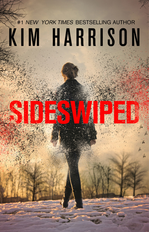 Cover image for book Sideswiped