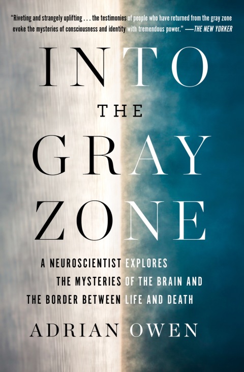 Cover image for book Into the Gray Zone