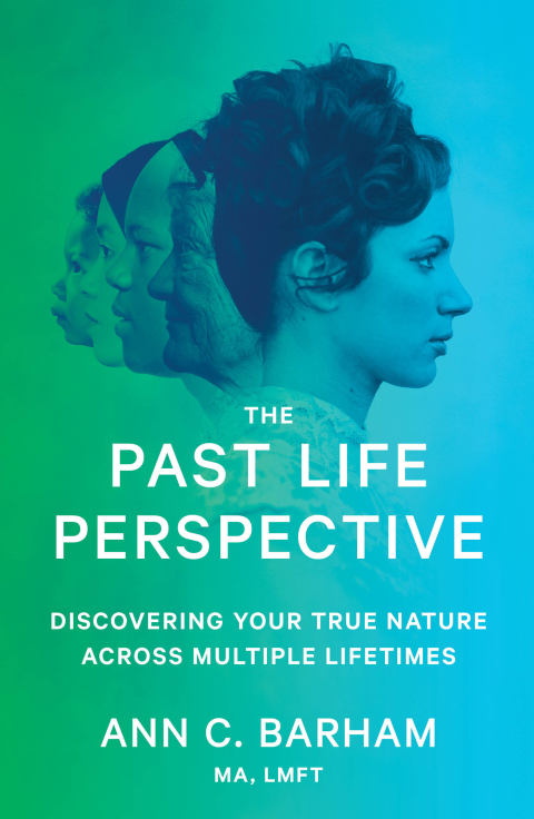Cover image for book The Past Life Perspective