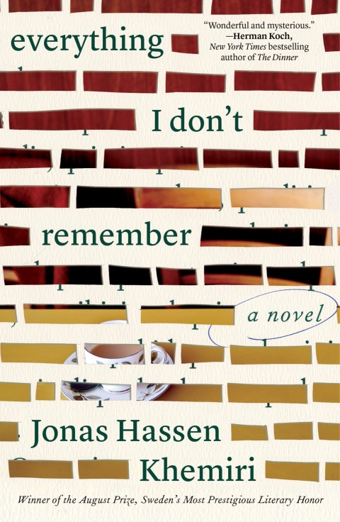 Cover image for book Everything I Don't Remember