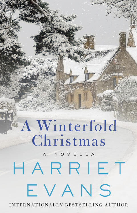 Cover image for book A Winterfold Christmas
