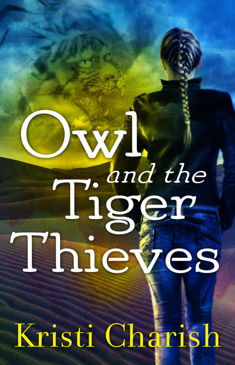 Cover image for book Owl and the Tiger Thieves