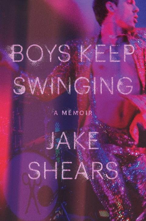 Cover image for book Boys Keep Swinging