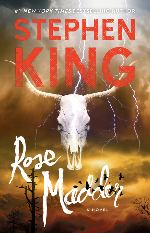 Cover image for book Rose Madder