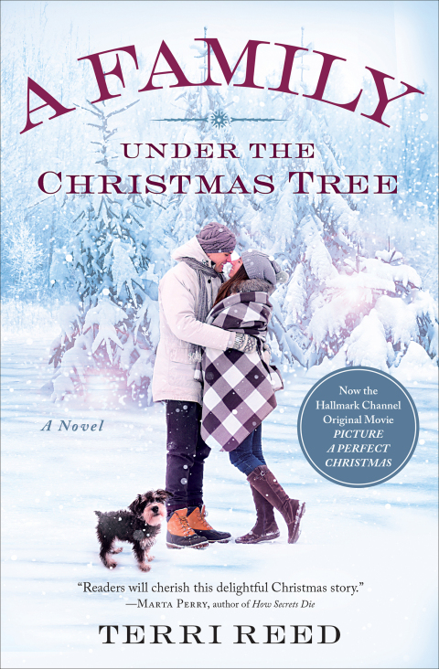 Cover image for book A Family Under the Christmas Tree
