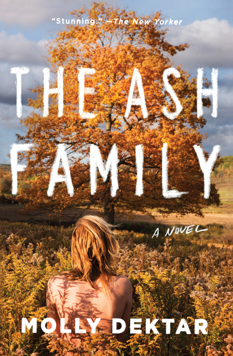 Cover image for book The Ash Family
