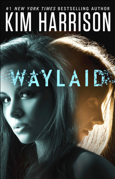 Cover image for book Waylaid
