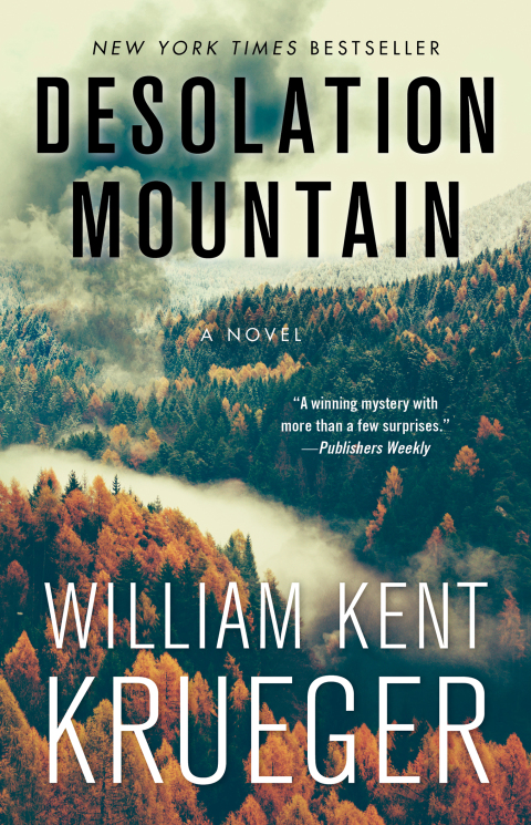 Cover image for book Desolation Mountain