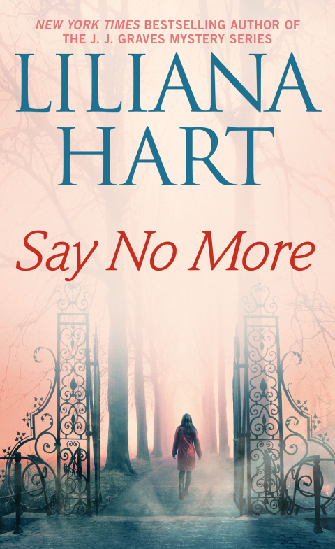 Cover image for book Say No More