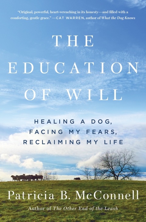 Cover image for book The Education of Will