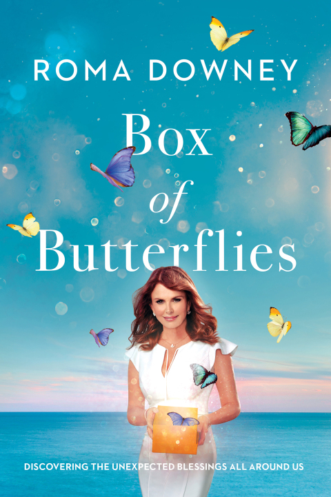 Cover image for book Box of Butterflies