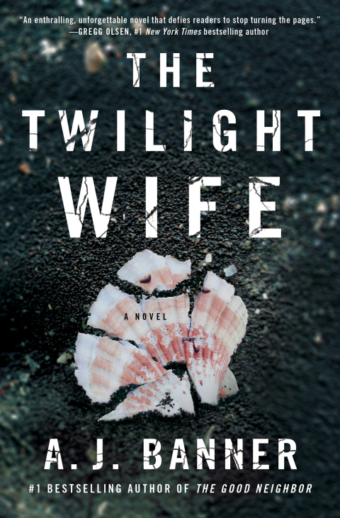 Cover image for book The Twilight Wife