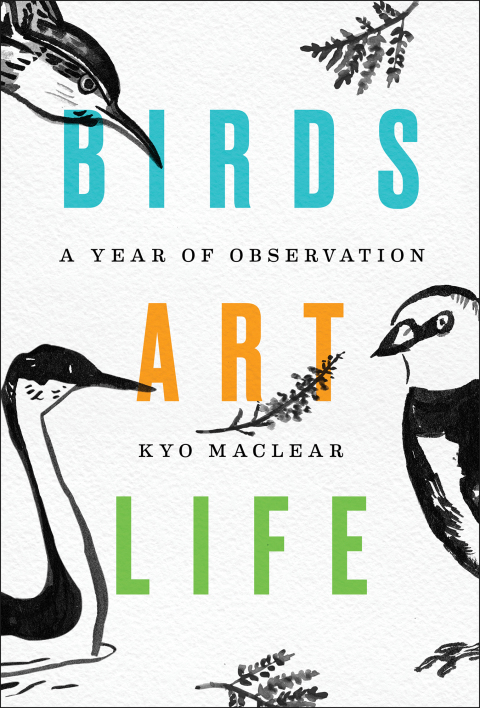 Cover image for book Birds Art Life