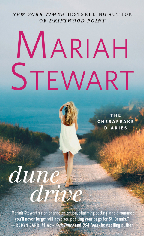 Cover image for book Dune Drive
