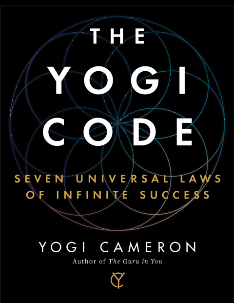 Cover image for book The Yogi Code