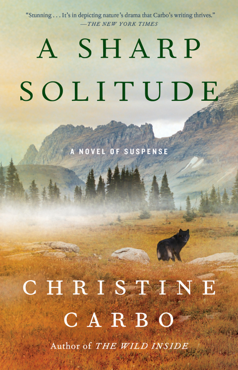 Cover image for book A Sharp Solitude