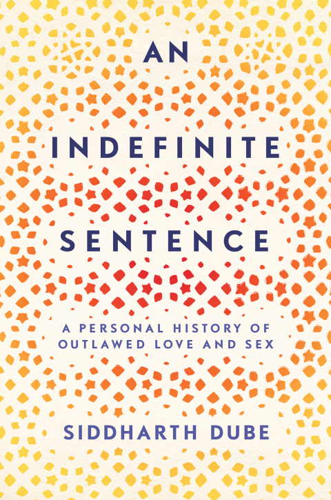 Cover image for book An Indefinite Sentence