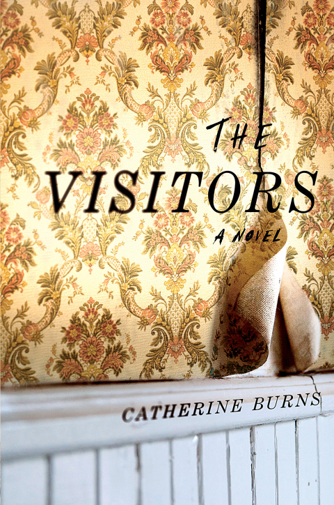 Cover image for book The Visitors