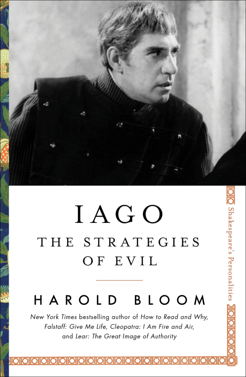 Cover image for book Iago