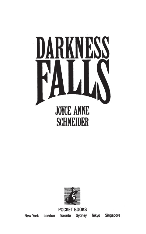 Cover image for book DARKNESS FALLS
