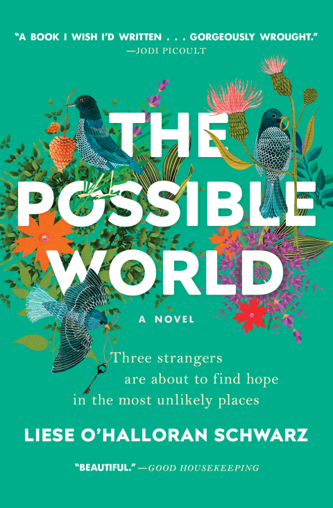 Cover image for book The Possible World