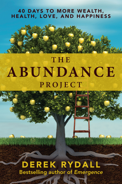 Cover image for book The Abundance Project