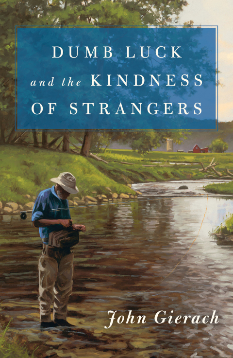 Cover image for book Dumb Luck and the Kindness of Strangers
