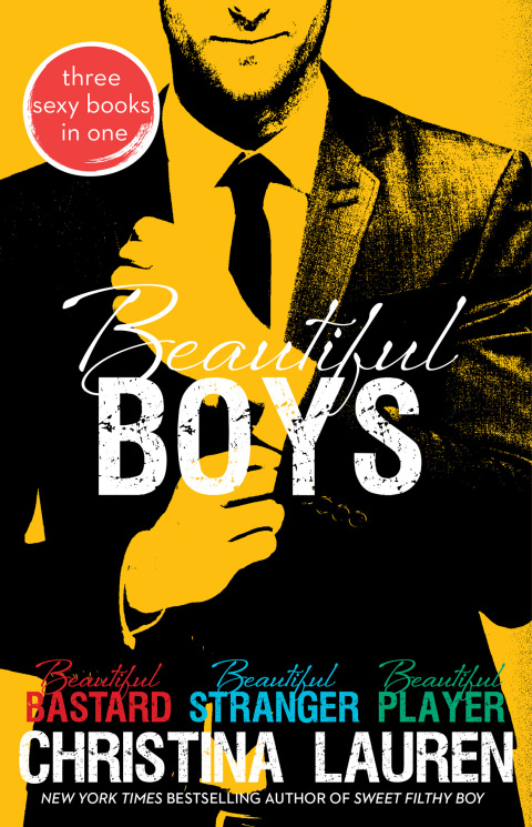 Cover image for book Beautiful Boys