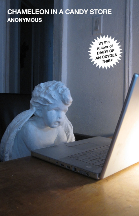 Cover image for book Chameleon in a Candy Store