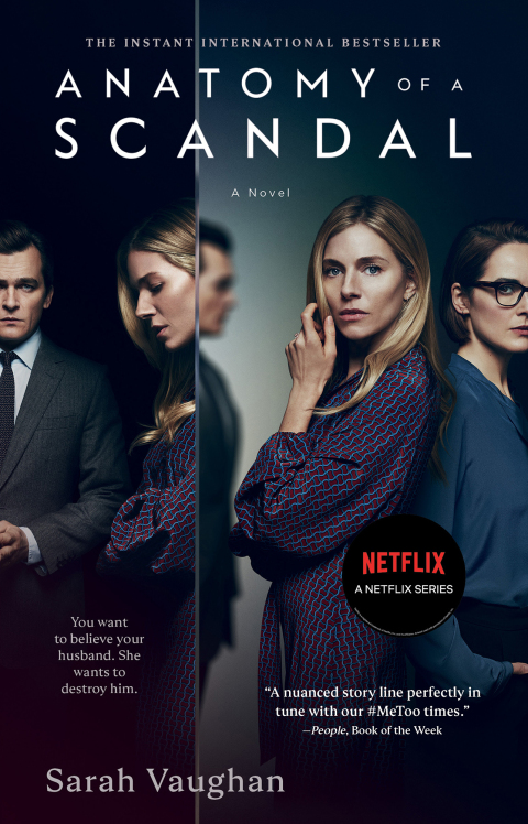 Cover image for book Anatomy of a Scandal