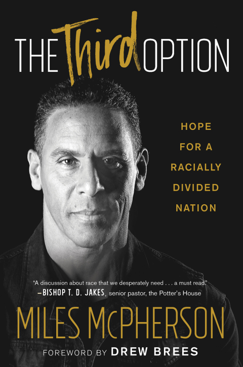 Cover image for book The Third Option