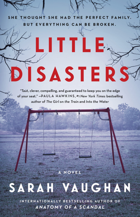 Cover image for book Little Disasters