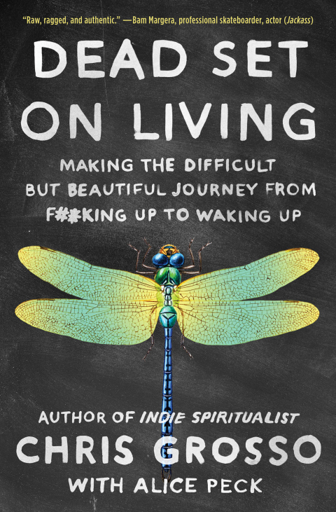 Cover image for book Dead Set on Living