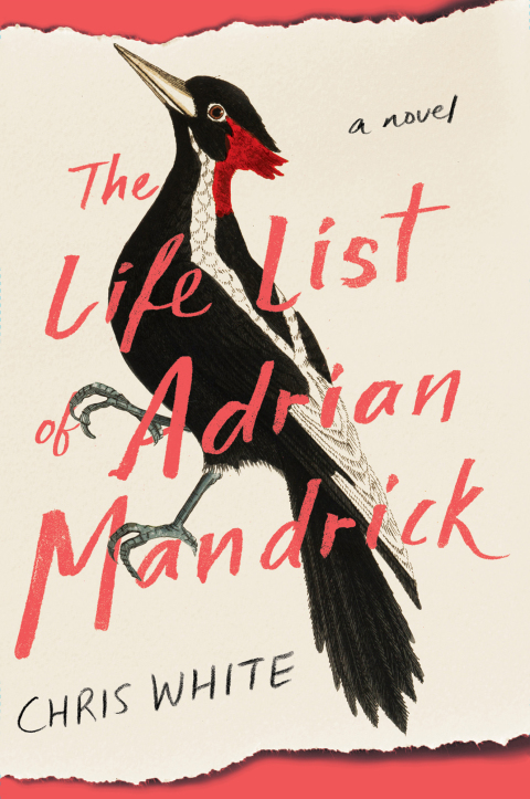 Cover image for book The Life List of Adrian Mandrick