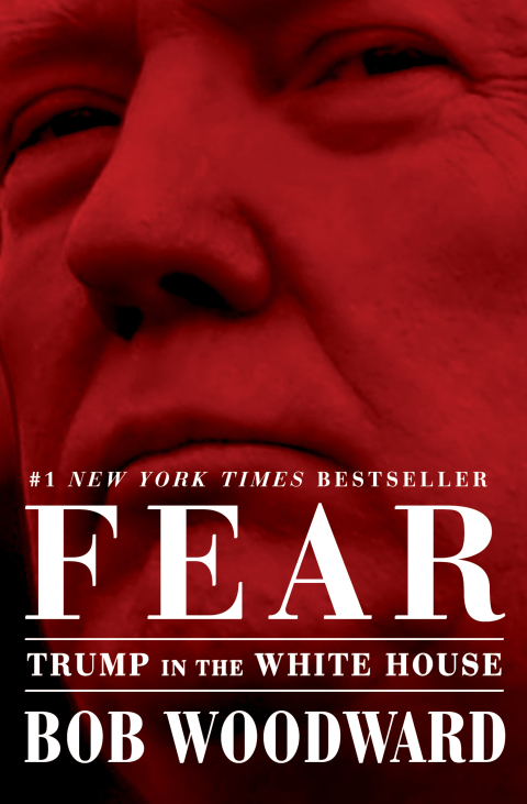 Cover image for book Fear