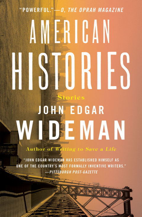 Cover image for book American Histories