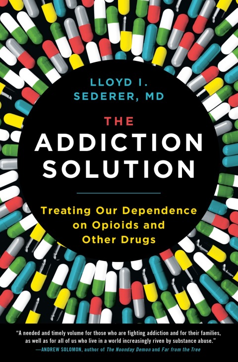 Cover image for book The Addiction Solution