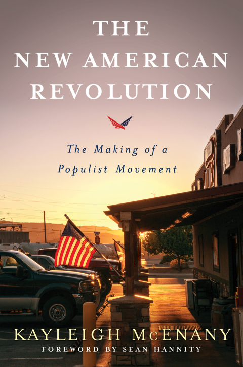 Cover image for book The New American Revolution