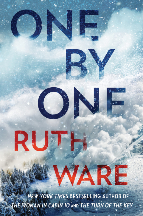 Cover image for book One by One