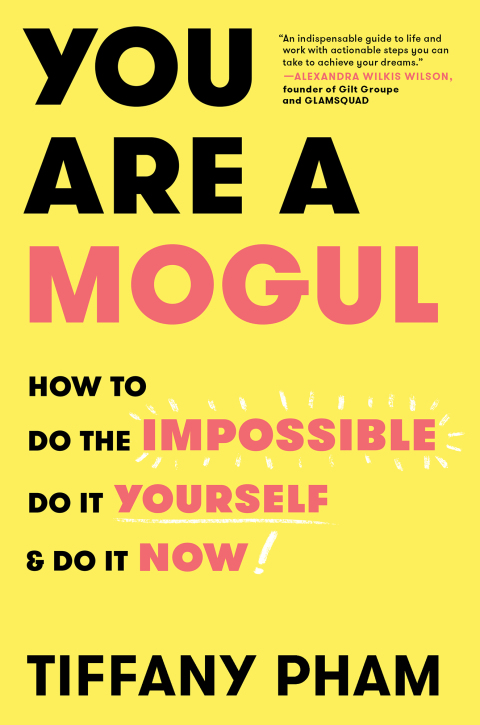 Cover image for book You Are a Mogul