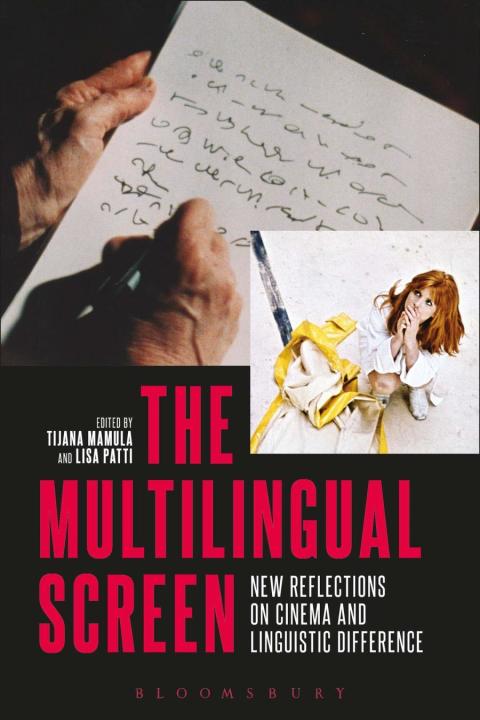 Cover image for book The Multilingual Screen