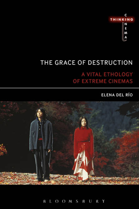 Cover image for book The Grace of Destruction