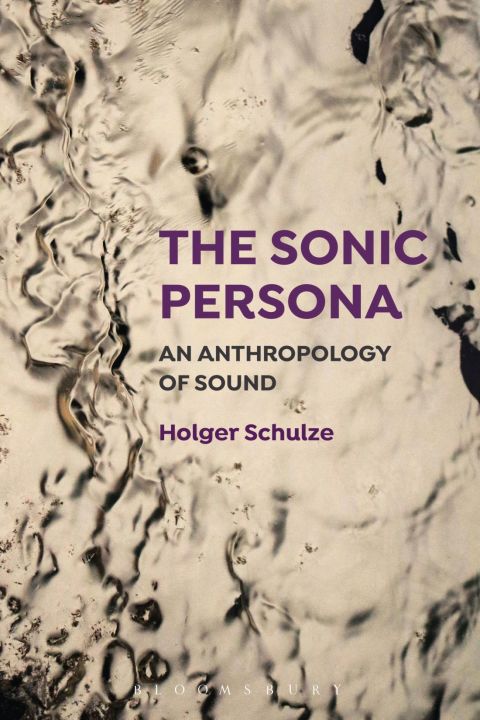 Cover image for book The Sonic Persona