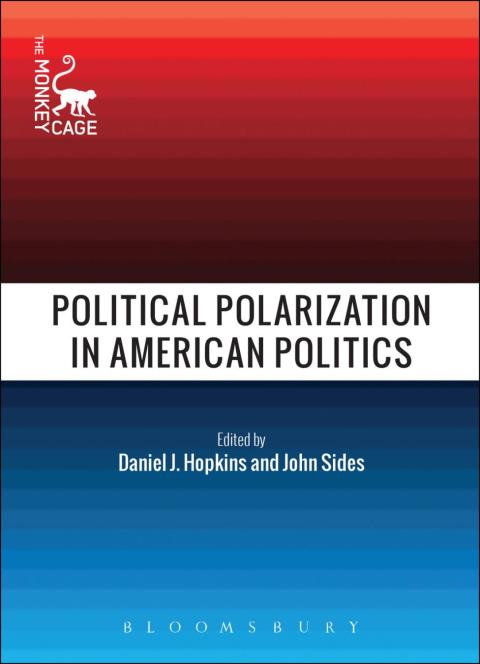 Cover image for book Political Polarization in American Politics
