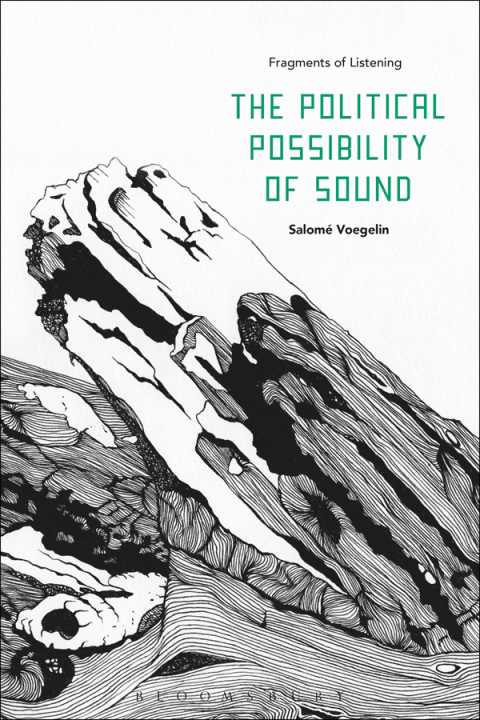 Cover image for book The Political Possibility of Sound